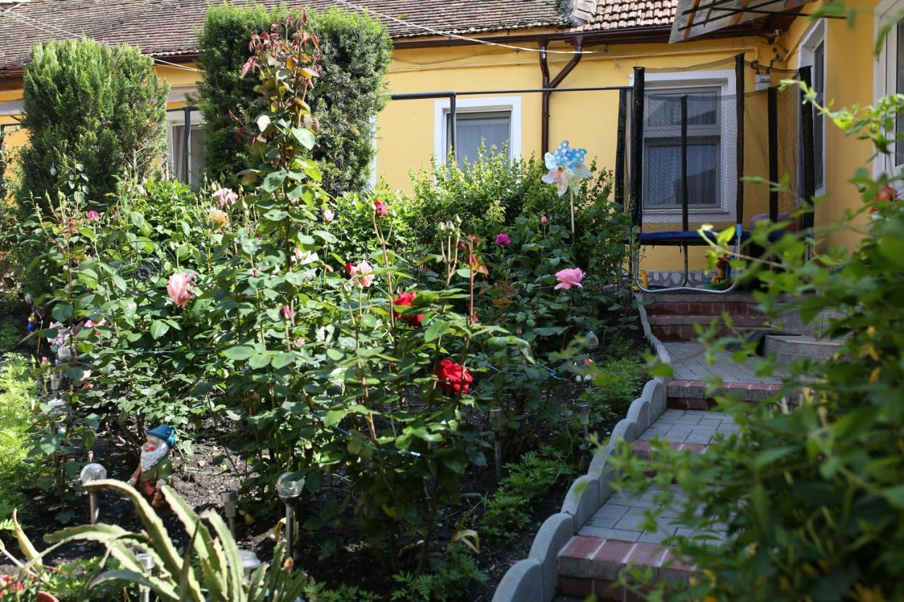 Color Home Hermannstadt 외부 사진